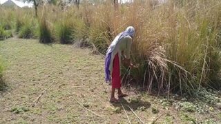 Video Mesum Desi Di Sawah, Si Bejat Sama Kuli Kebun