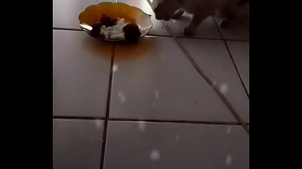 Anita Siap Digoyang, Tubuhnya Menggoda Hingga Bikin Makin Pengen.